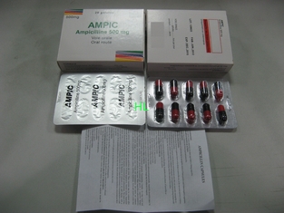 China Ampicillin Capsules 250MG 500MG BP/USP-Penicillinegeneesmiddelen leverancier