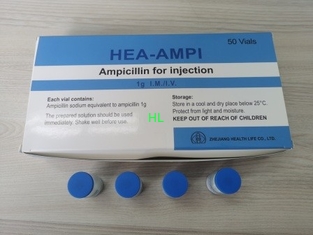 China Ampicillin de Drugs van de Injectie1.0g Antibiosis van het Natriumpoeder 3 Jaar Vervaldatum leverancier